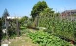 Southern Hydroseeding Vegetable Gardens
